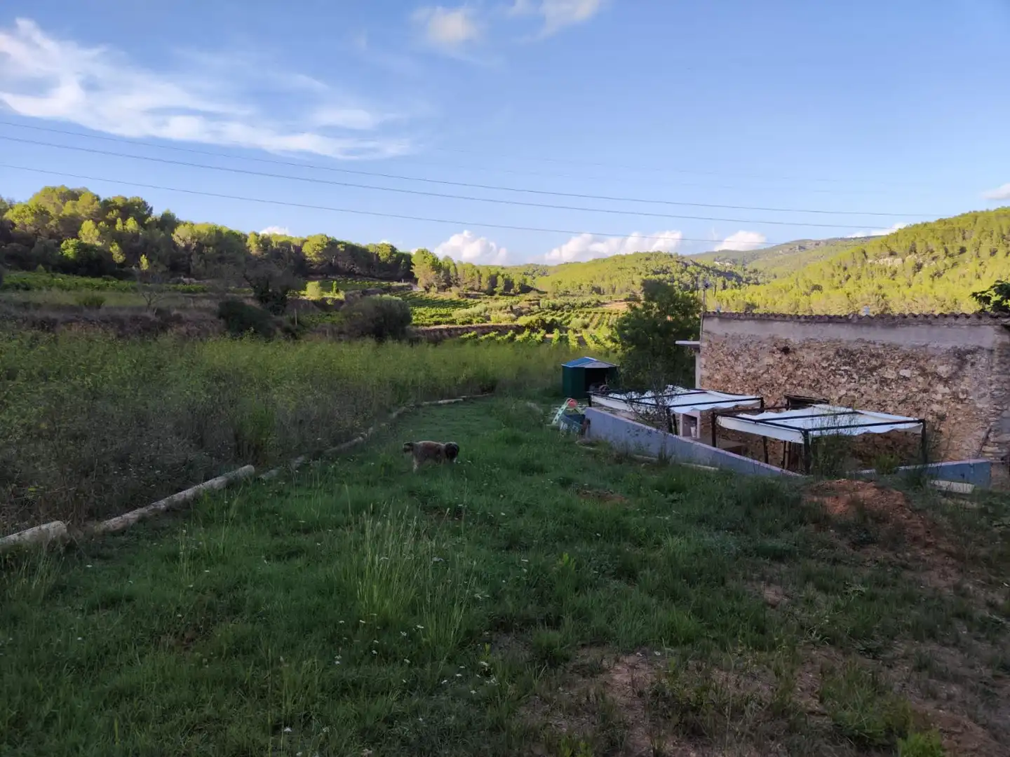 Jardín de Finca rústica en venta en Castellet i la Gornal con Jardín privado