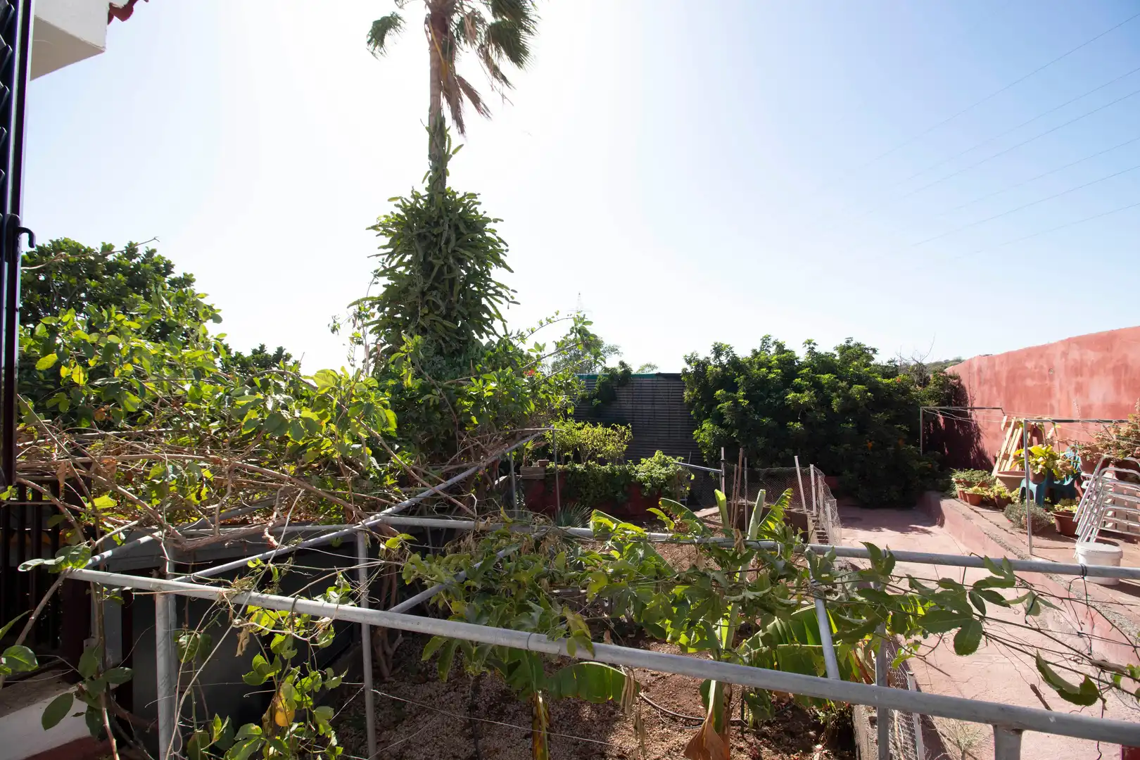 Houses for sale in San Miguel de Abona