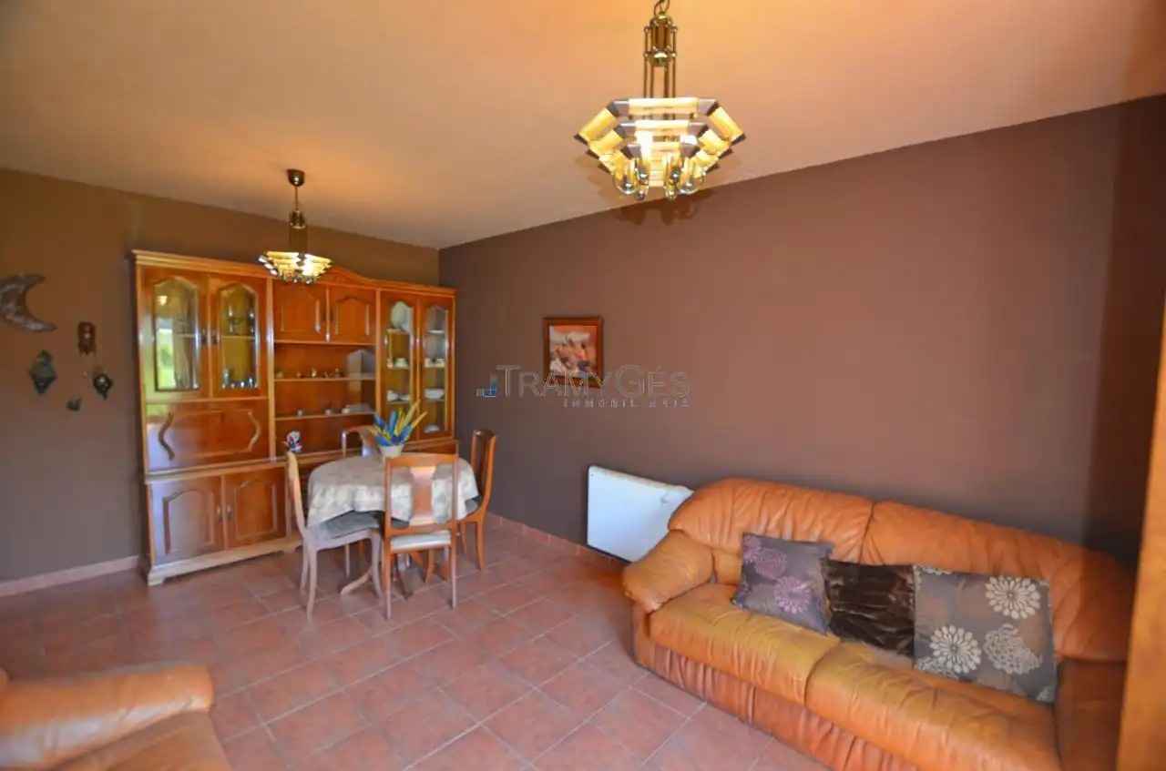 Sala d'estar de Casa o xalet en venda en Tomiño amb Calefacció i Jardí privat