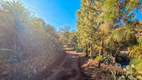 Vista exterior de Finca rústica en venda en Gáldar amb Aire condicionat, Calefacció i Jardí privat