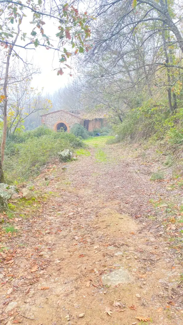 Terreni e lotti in vendita a Valdastillas, imagen 6