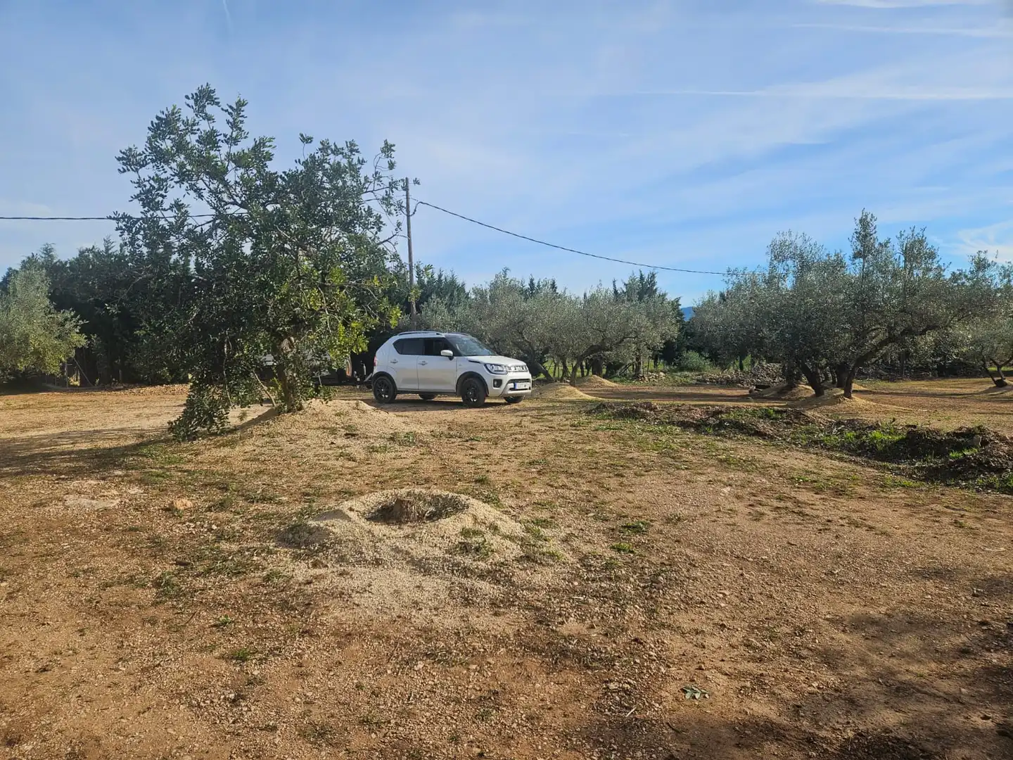 Rural land for sale in Aldover, imagen 33