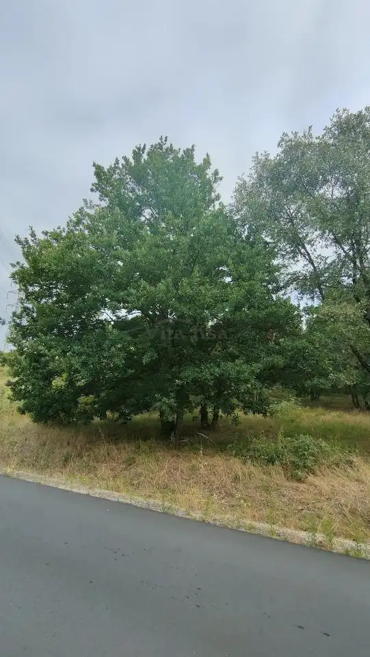 Terreny residencial en venda a San Cibrao das Viñas, imagen 4