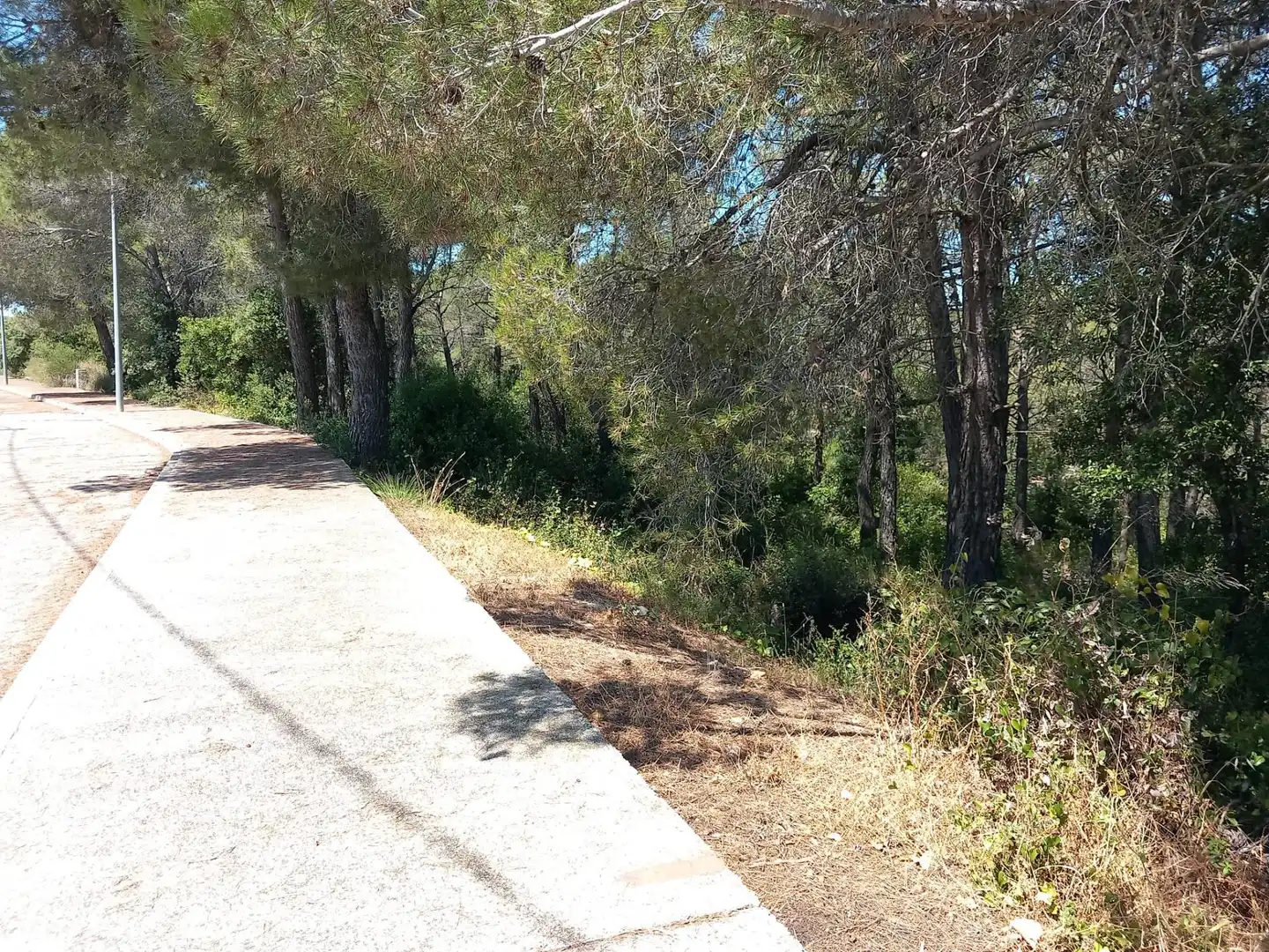 Residential land for sale in Torrelles de Foix, imagen 9