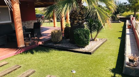 Se vende o alquila chalet de lujo en un paraje muy bonito , cerca del pueblo., image 4