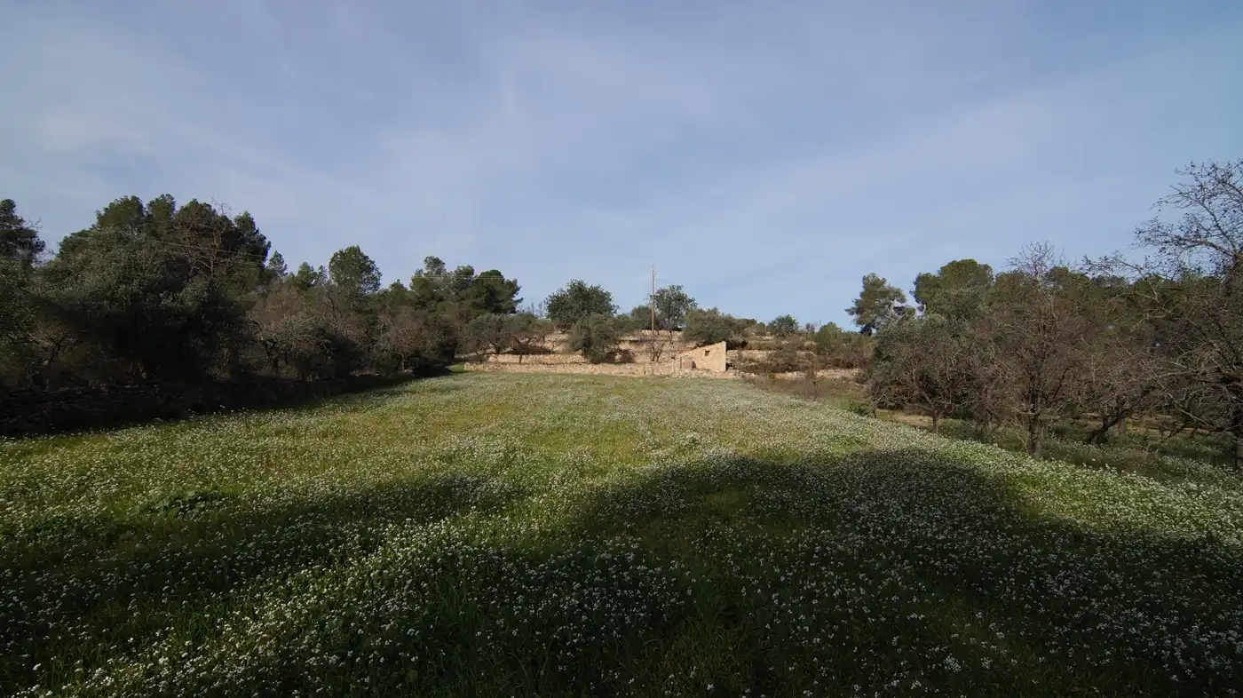 Terrain rustique à vendre à Rasquera, imagen 24