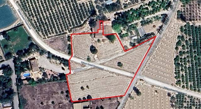 Finca rústica en Venta en La Algoda - Matola - Llano de San José
