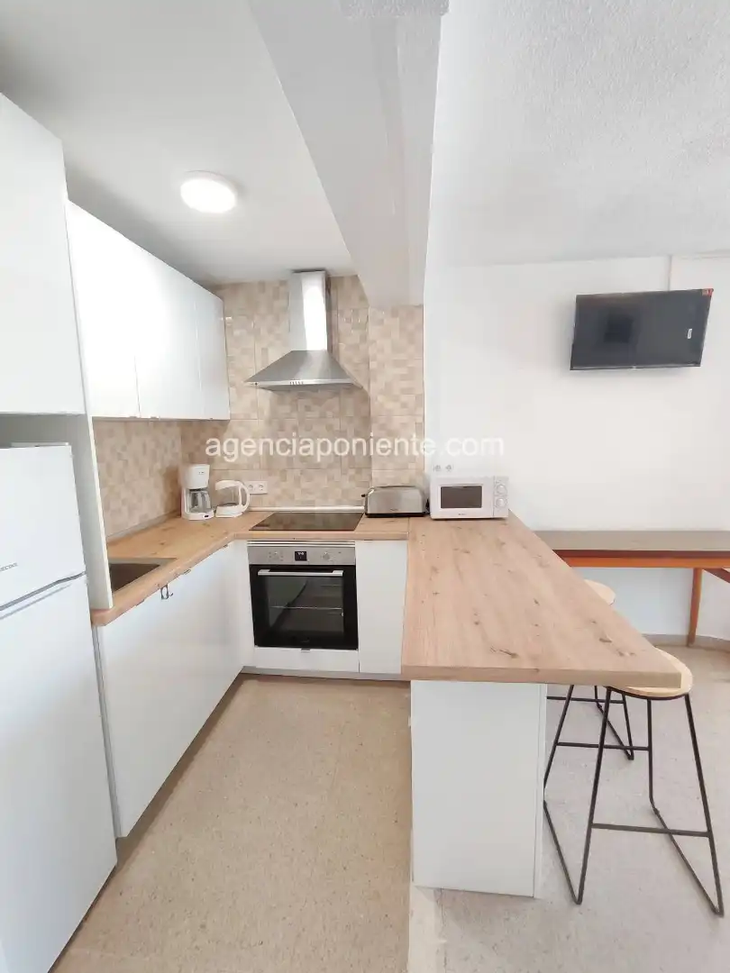 Apartments for rent in Avenida Murtal, Playa Poniente