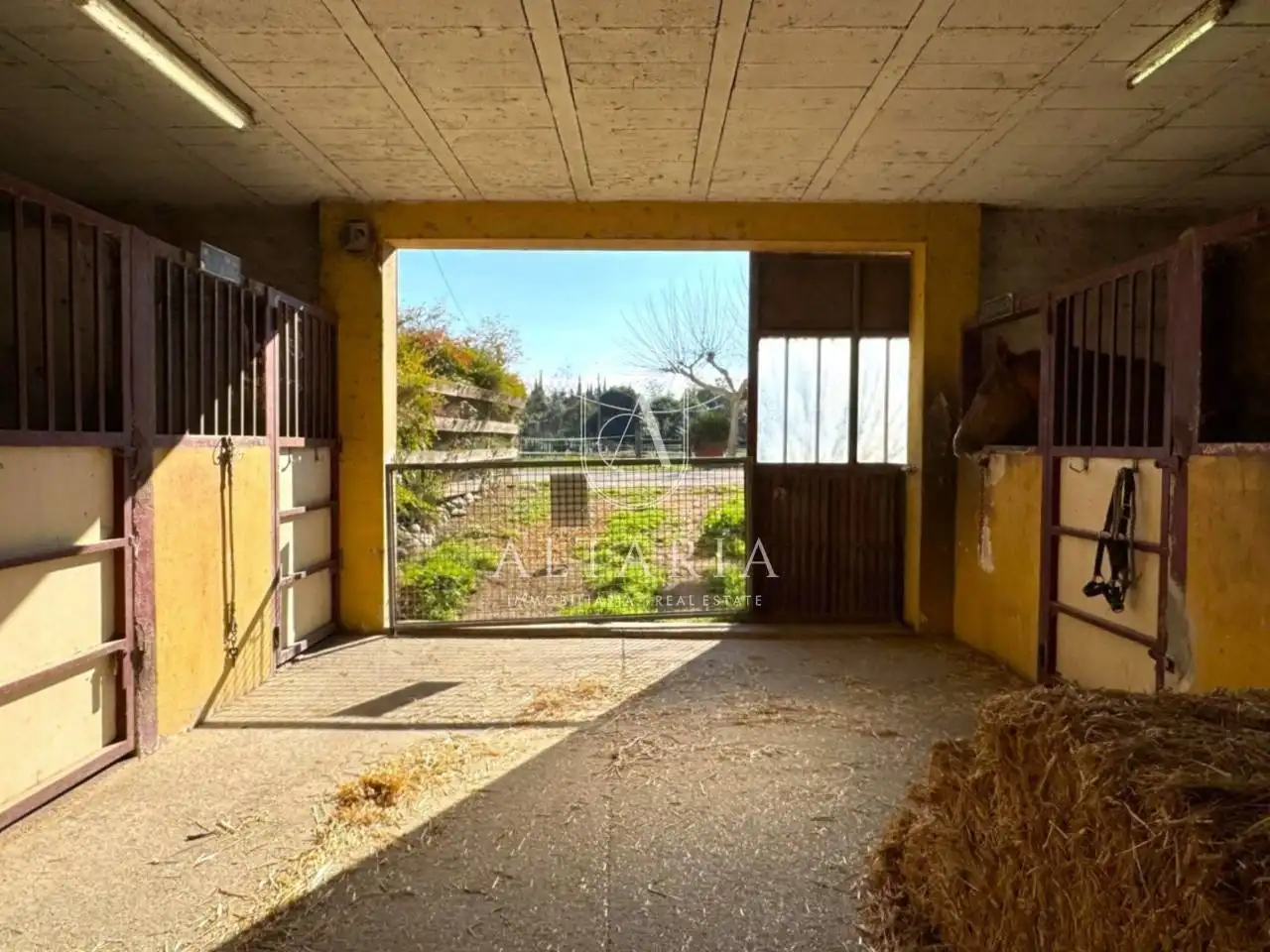 Vista exterior de Casa o xalet en venda en Celrà amb Jardí privat i Piscina