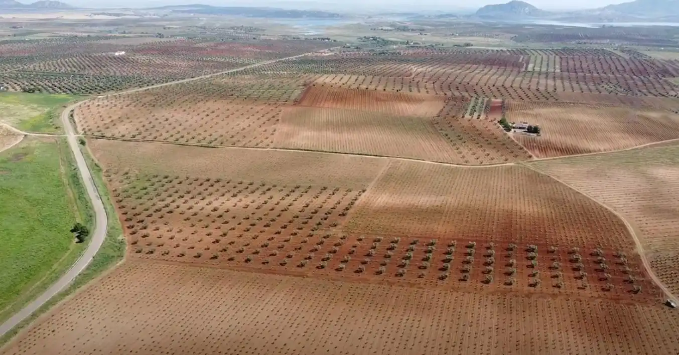 Terreni e lotti in vendita a Alange, imagen 16
