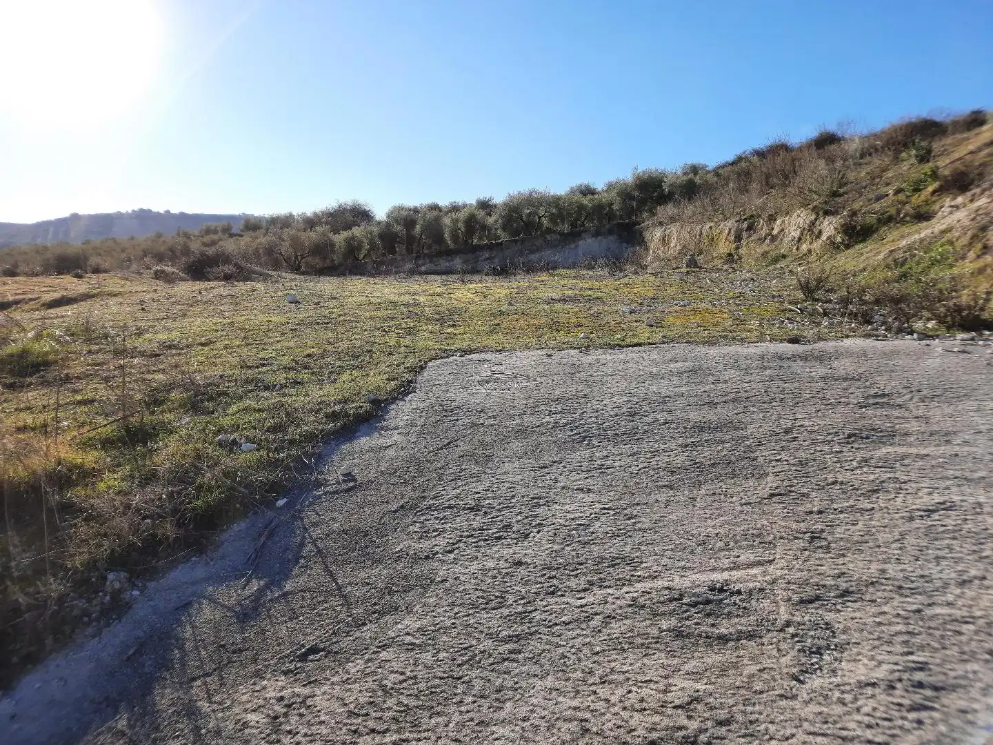 Rural land for sale in Poleares, imagen 6