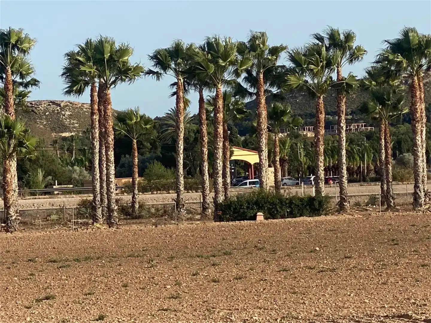Terreno en venta en Partidas de Alicante