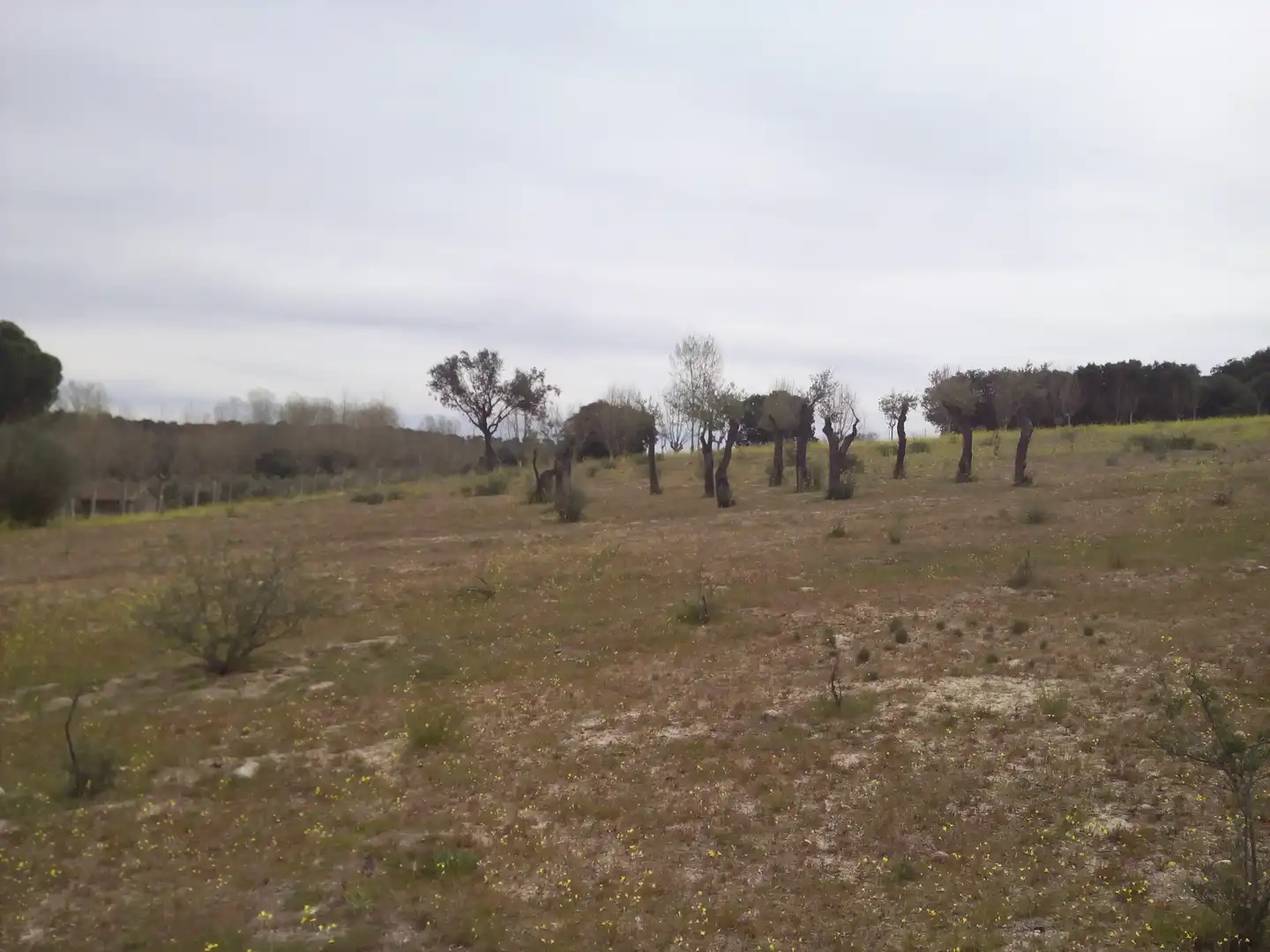 Terreno en venta en Aldea del Fresno