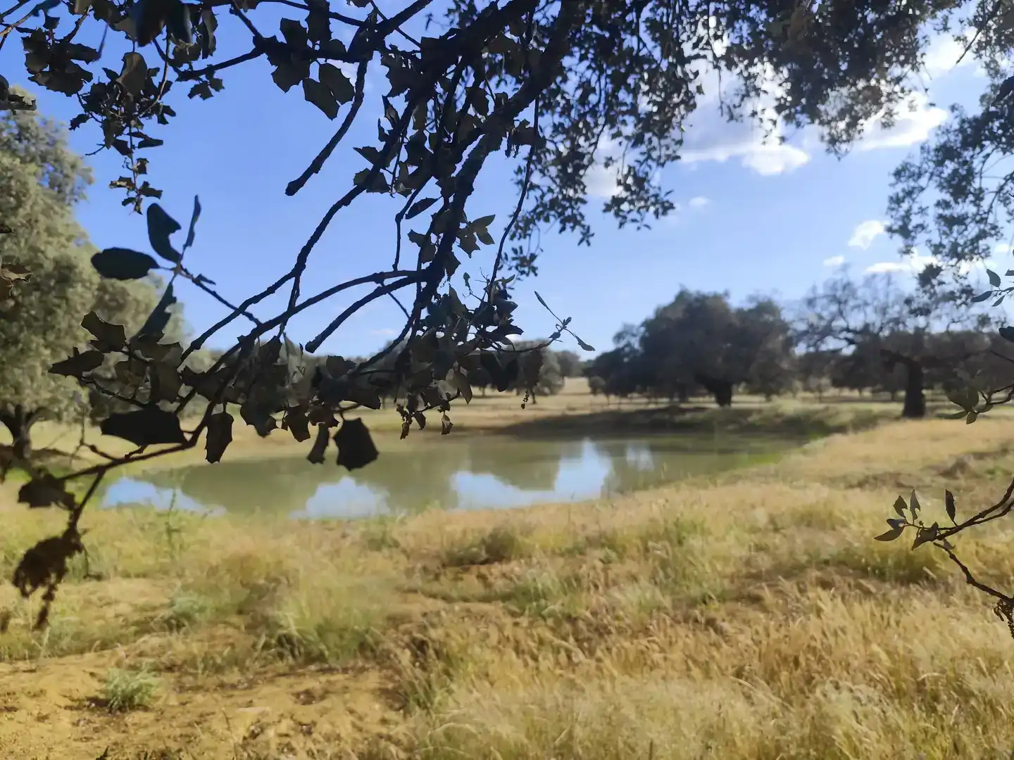 Finca rústica en venda en Castilblanco