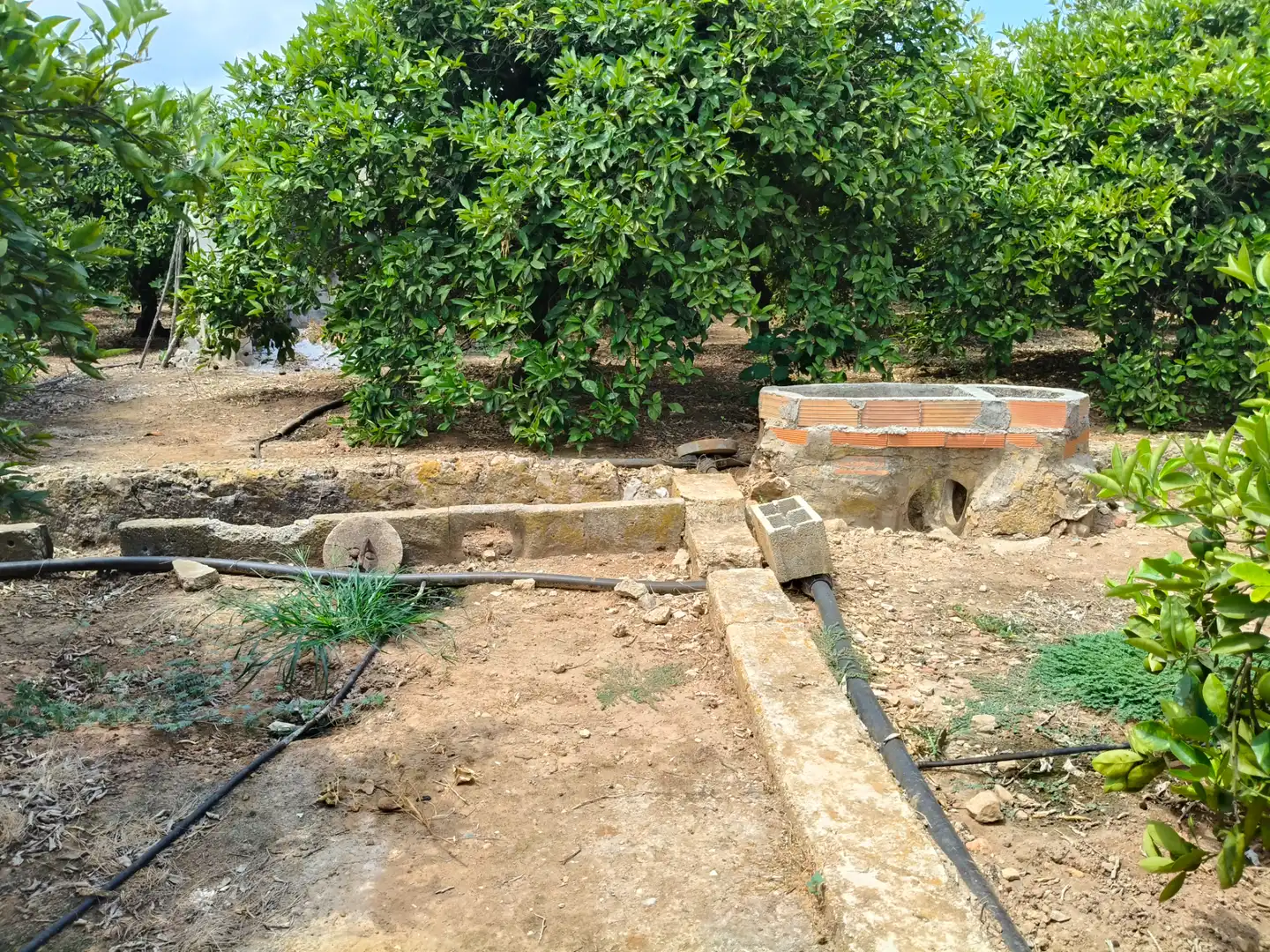 Rural land for sale in Partida Pla 42, imagen 10