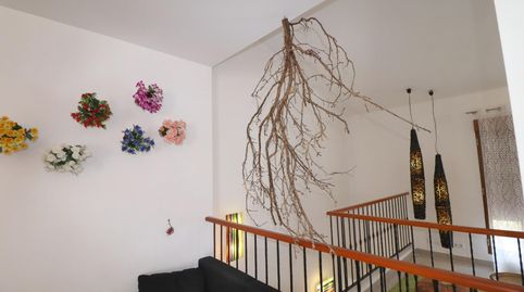 Photo 3 of Apartments for rent in Ayuntamiento - El Salvador, Godella