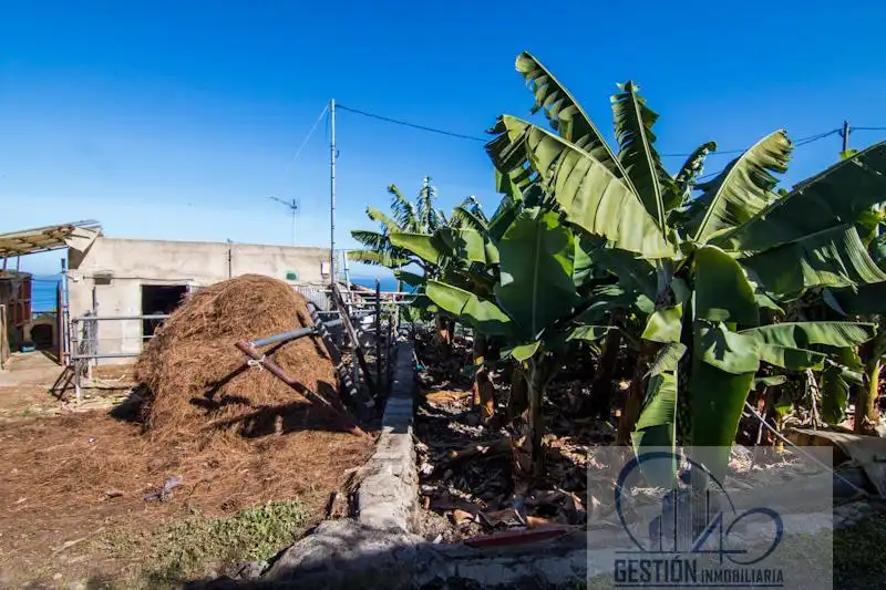 Finca rústica en venta en Puerto de la Cruz