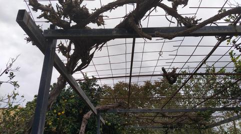 Photo 4 of Country house for sale in Santa Eugènia, Illes Balears