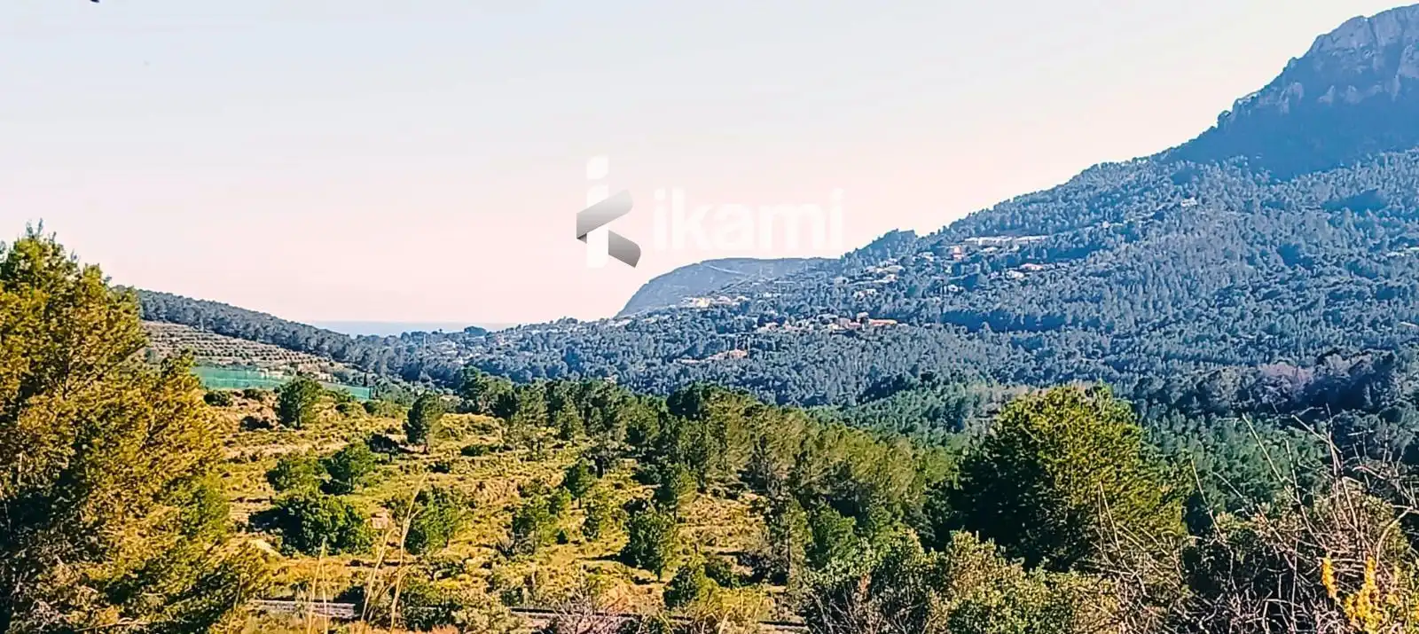 Terreny rústic en venda a Benimeit - Tabaira, imagen 8