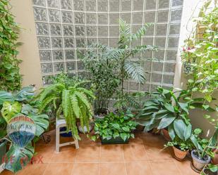 Jardí de Planta baixa en venda en Málaga Capital amb Terrassa i Balcó