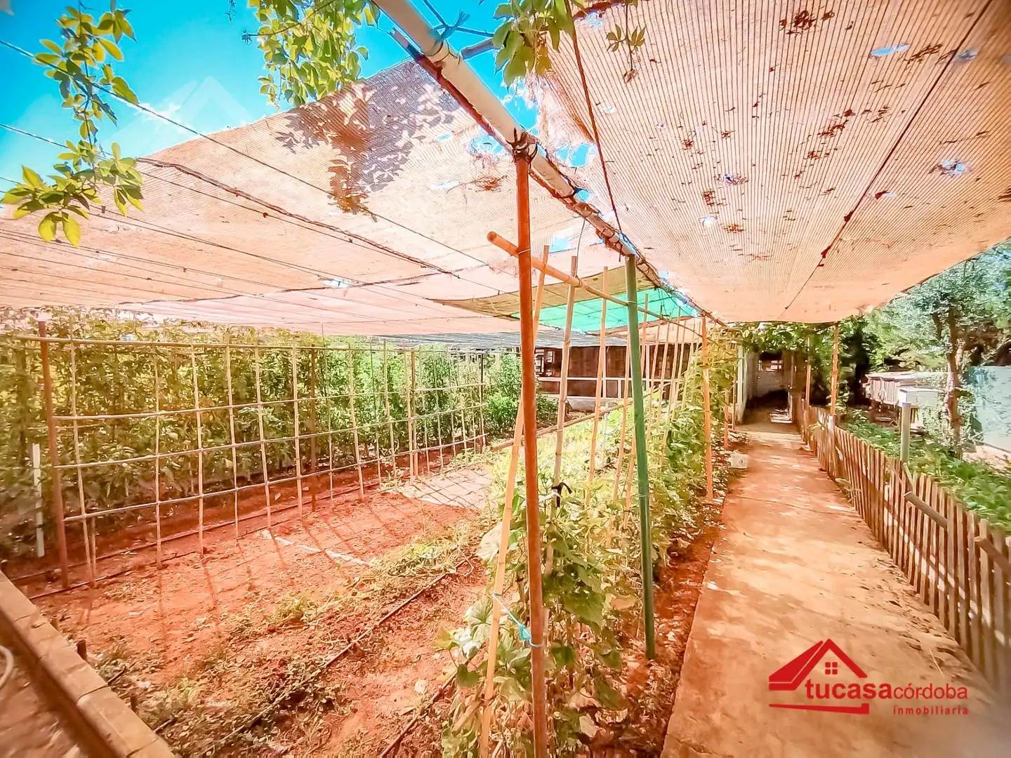 Jardí de Casa o xalet en venda en Córdoba amb Aire condicionat, Calefacció i Jardí privat