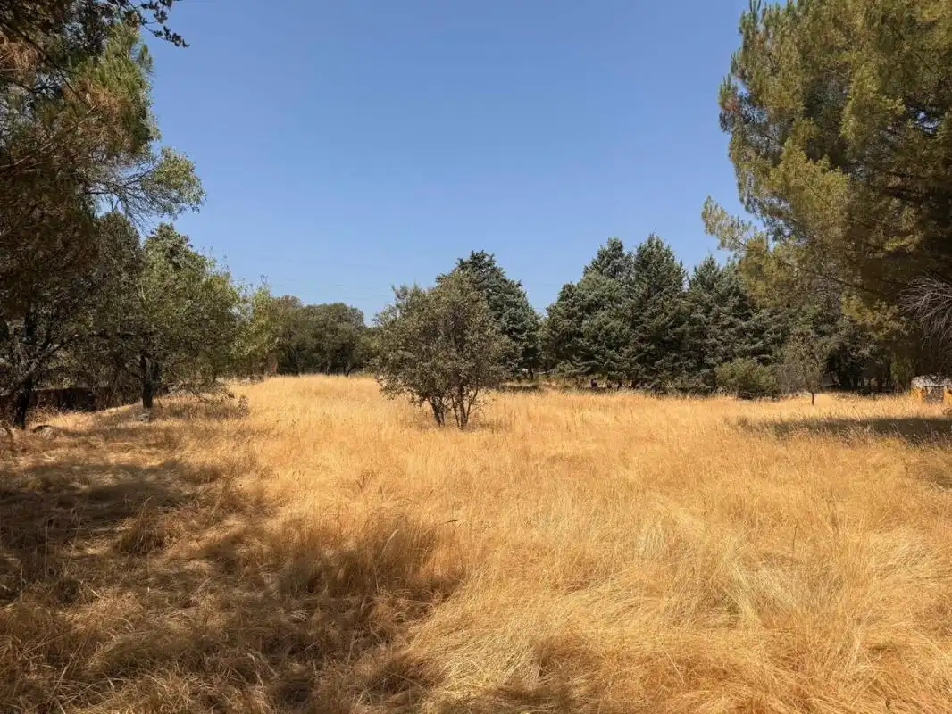 Residential land for sale in Camino de los Barrizales