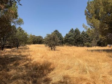 Residential land for sale in Camino de los Barrizales