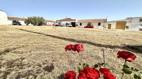 Photo 5 of Residential for sale in Alcalá, Bobadilla - Bobadilla Estación - La Joya, Málaga