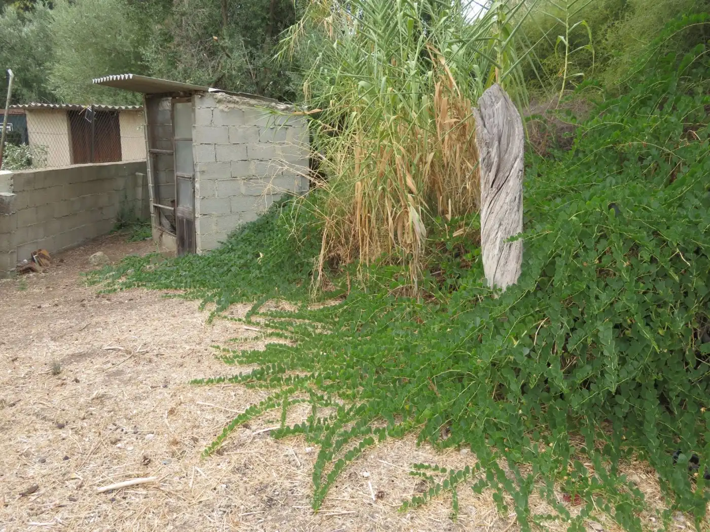 Terrenys i solars en venda a Bunyola, imagen 2