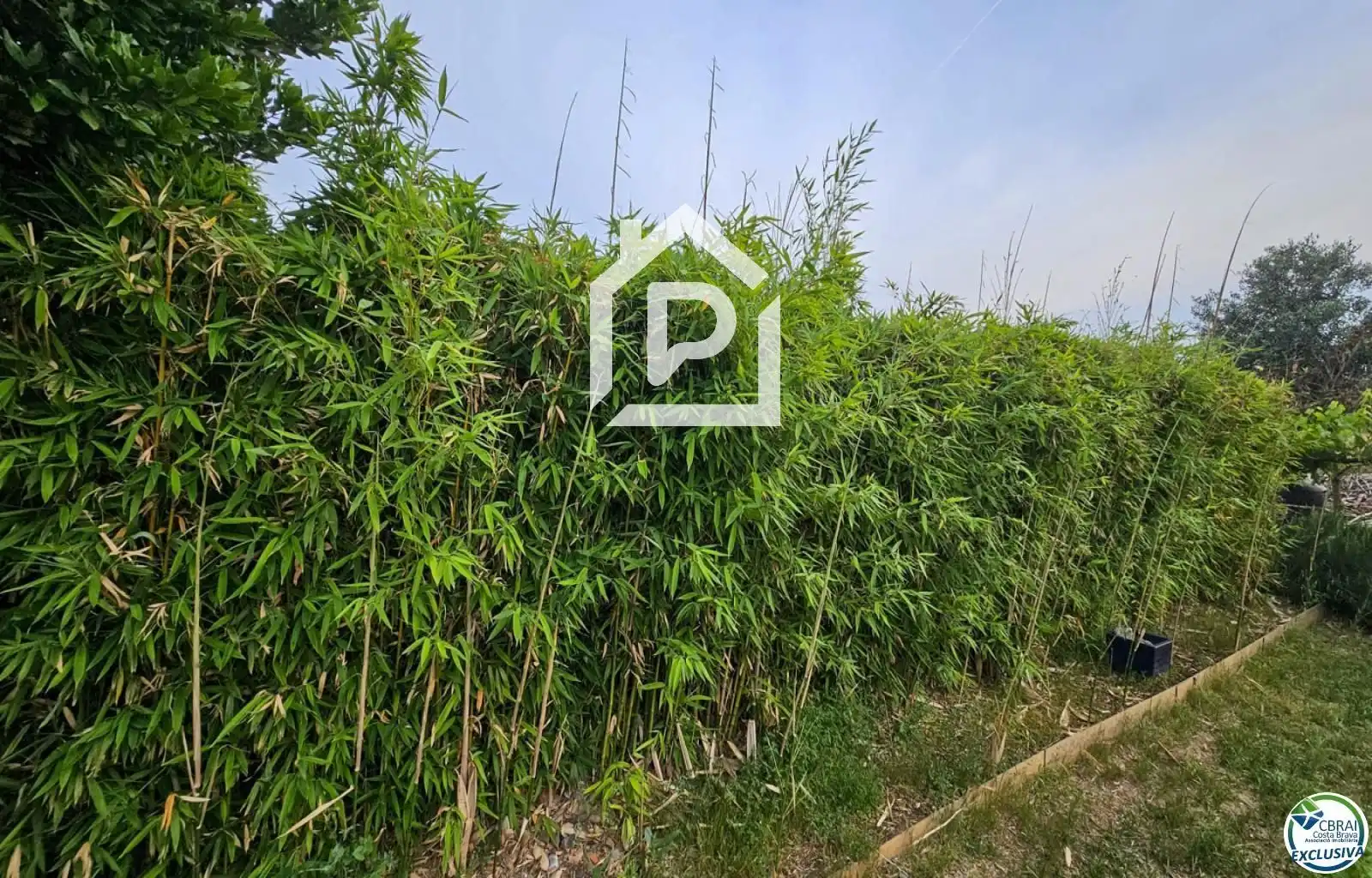 Rustikales Grundstück zum Verkauf in OLIVAR LLARCH, imagen 27