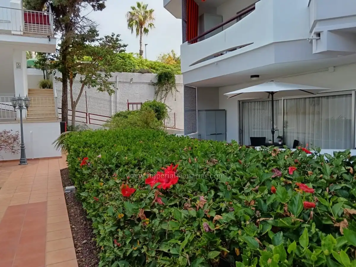 Jardín de Estudio en venta en Puerto de la Cruz con Terraza, Amueblado y Piscina comunitaria