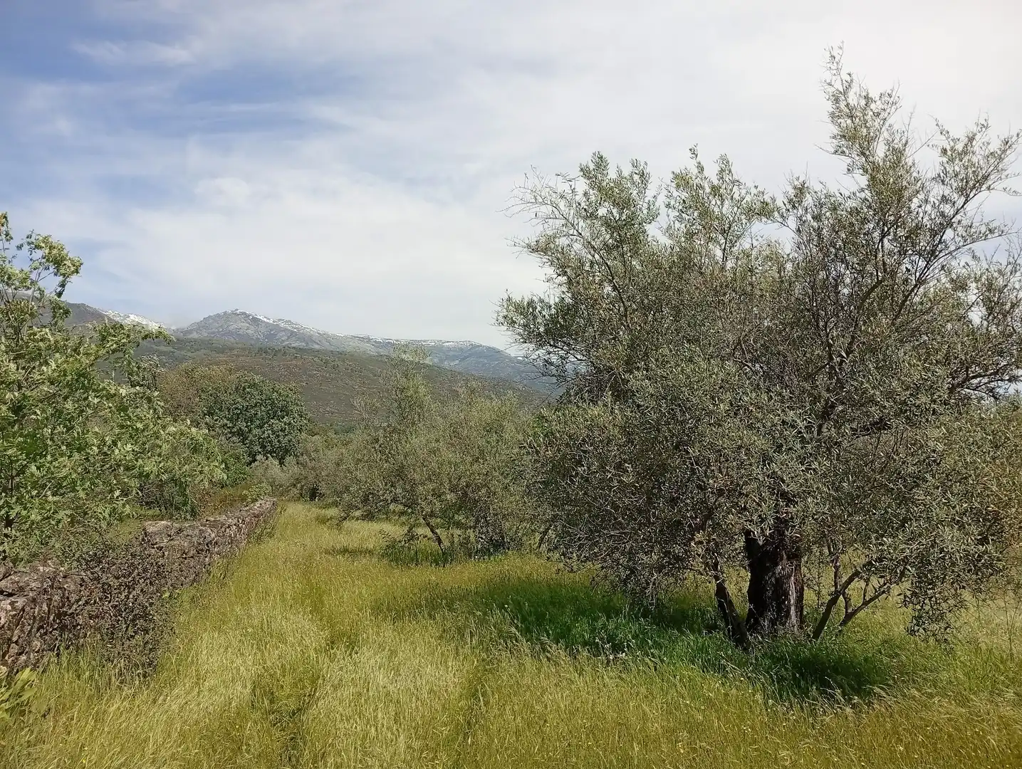 Terreni e lotti in vendita a Villanueva de la Vera, imagen 61