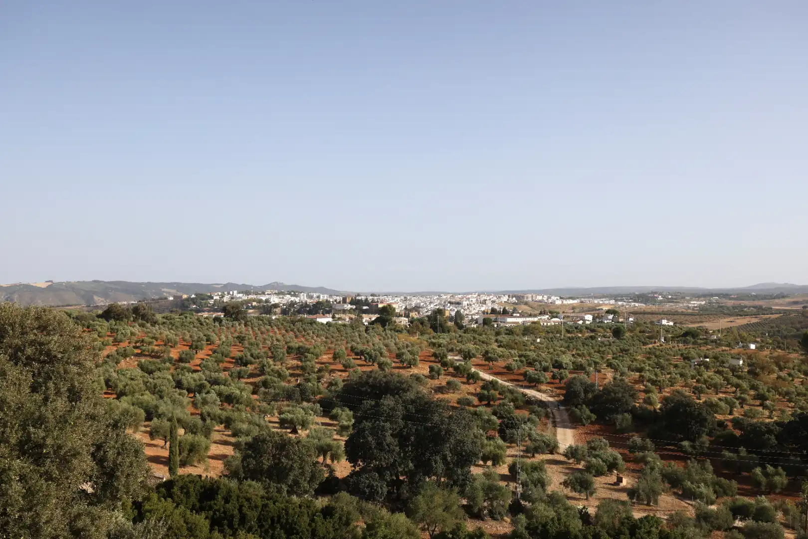 Country homes for sale in Ronda  with Private garden, Terrace and Swimming Pool