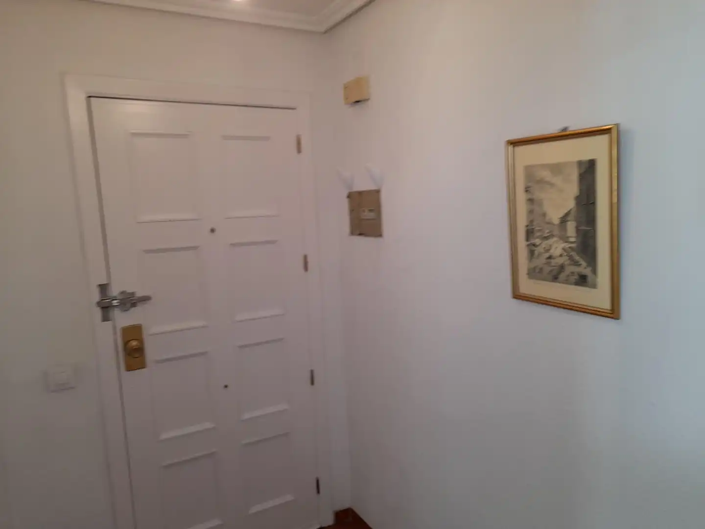 Apartments for rent in Centro