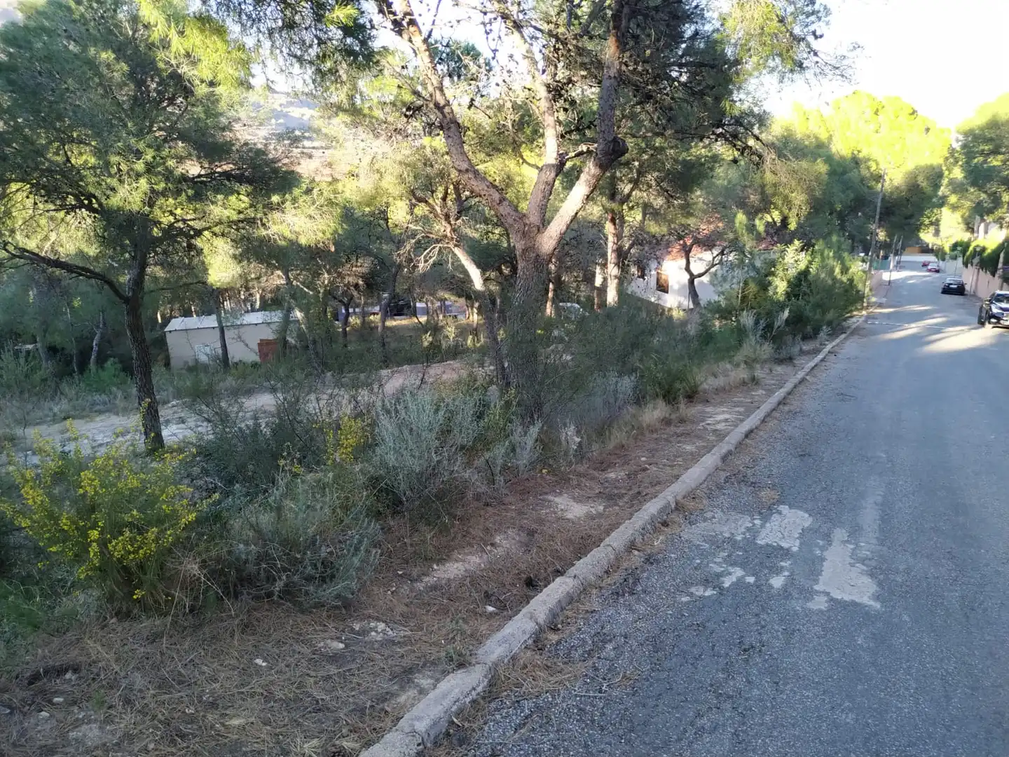 Residencial en venta en Torres Torres