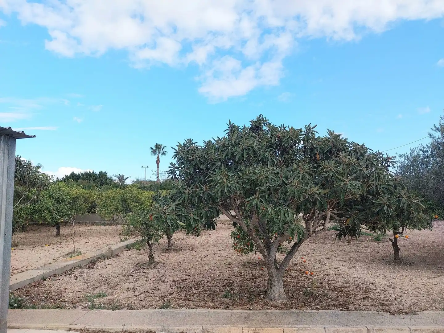 Casa o chalet en venta en Elche / Elx con Aire acondicionado, Calefacción y Jardín privado