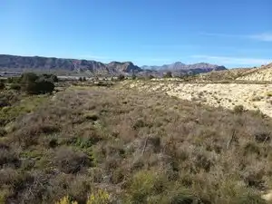 Rustikales Grundstück zum Verkauf in Partidas de Alicante, imagen 2