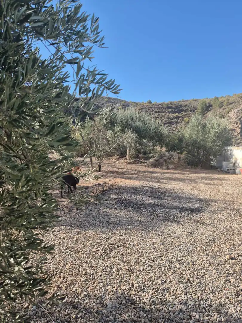 Vista exterior de Finca rústica en venda en Líjar amb Jardí privat, Terrassa i Moblat