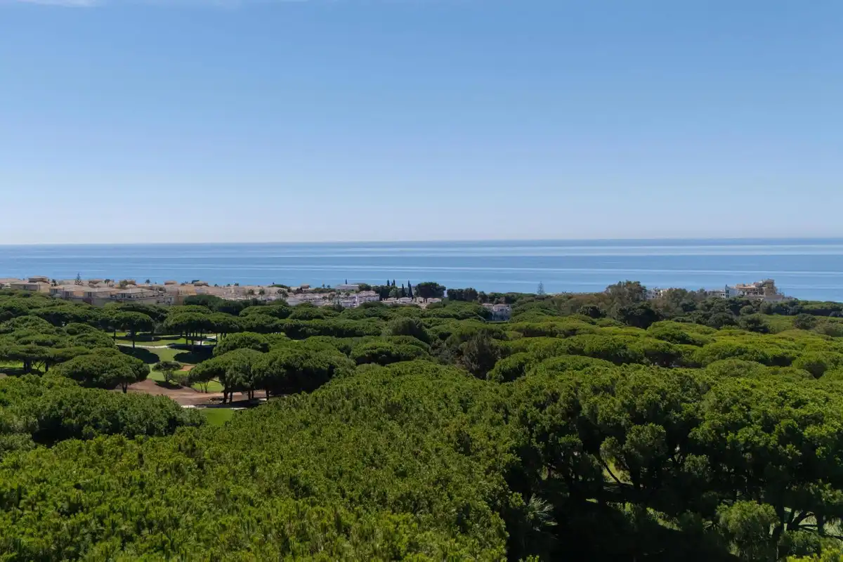 Vista exterior de Casa adosada en venta en Marbella con Terraza y Piscina