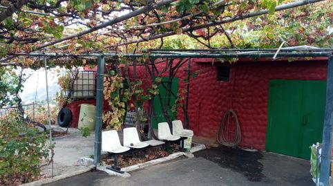 venta finca camino los gómez, la orotava, imatge 2
