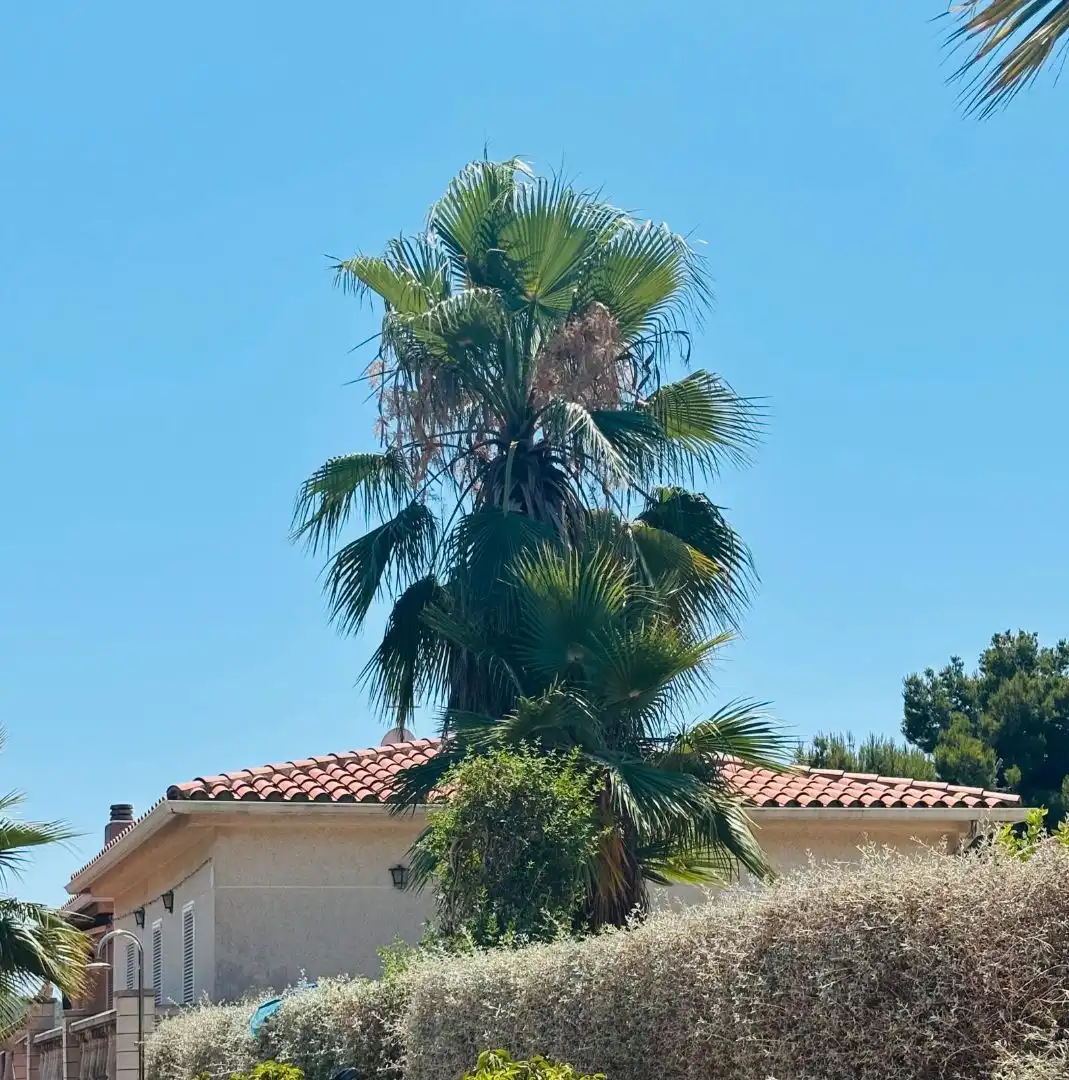Exterior view of Houses for sale in Calafell  with Air Conditioner, Heating and Private garden