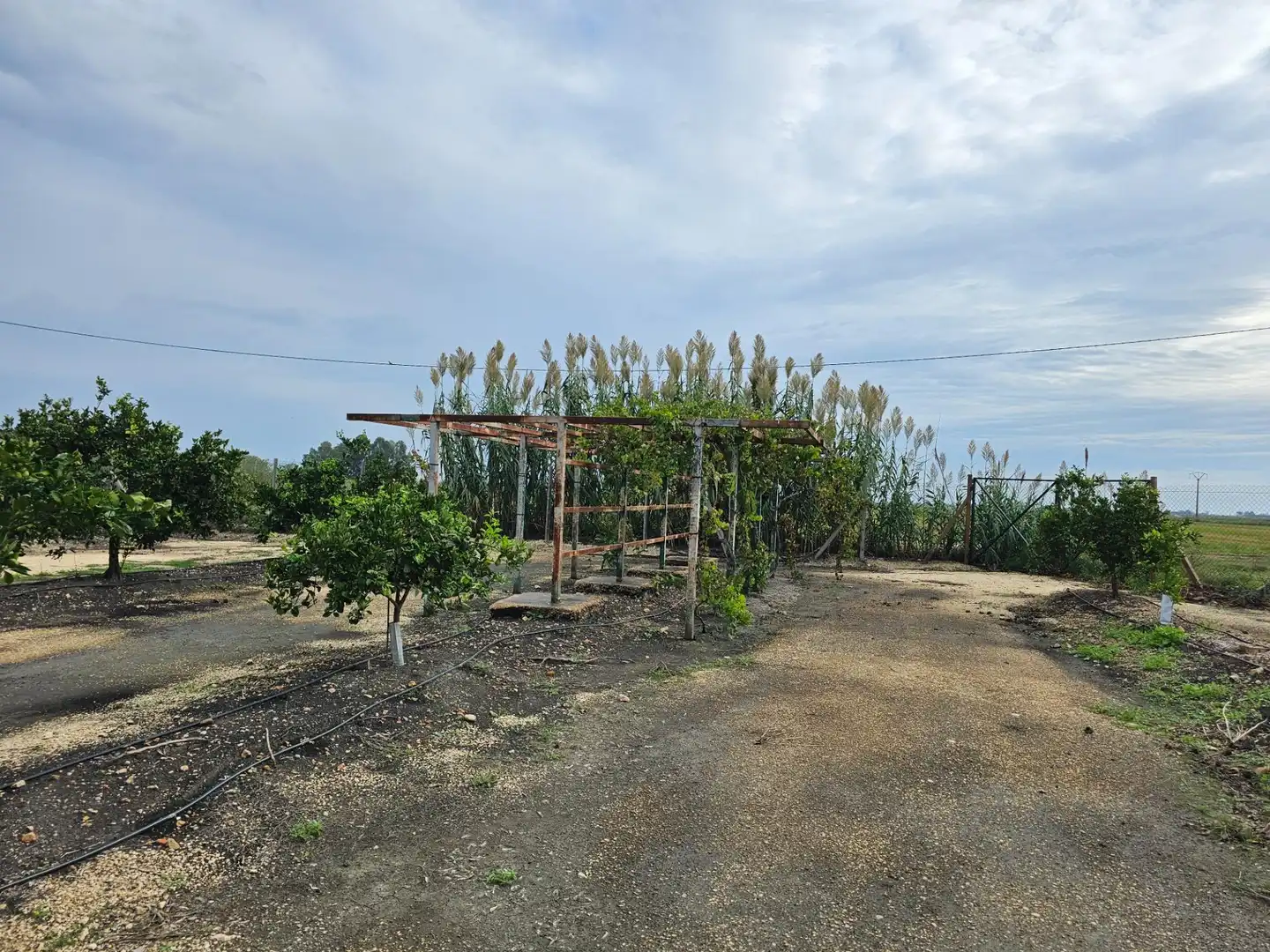 Country homes for sale in Amposta  with Air Conditioner, Private garden and Terrace