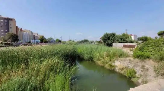 Terreny rústic en venda a PT 22-UE-R Ptda Patos, imagen 8