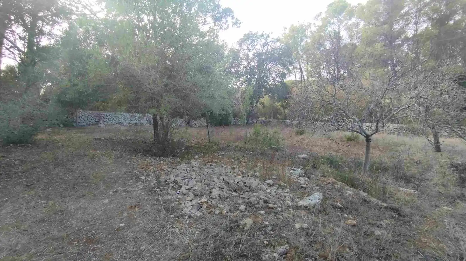Casa rústica amb jardí en venda a Álora, imagen 16