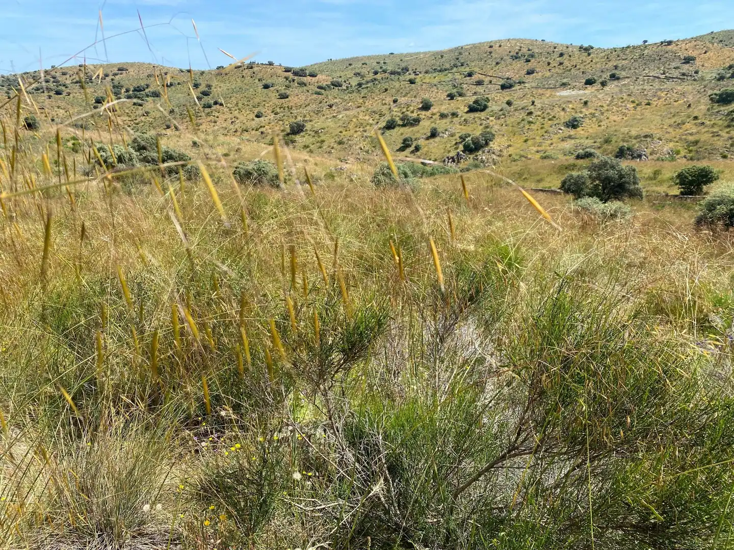 Terreni e lotti in vendita a Villar del Pedroso, imagen 33