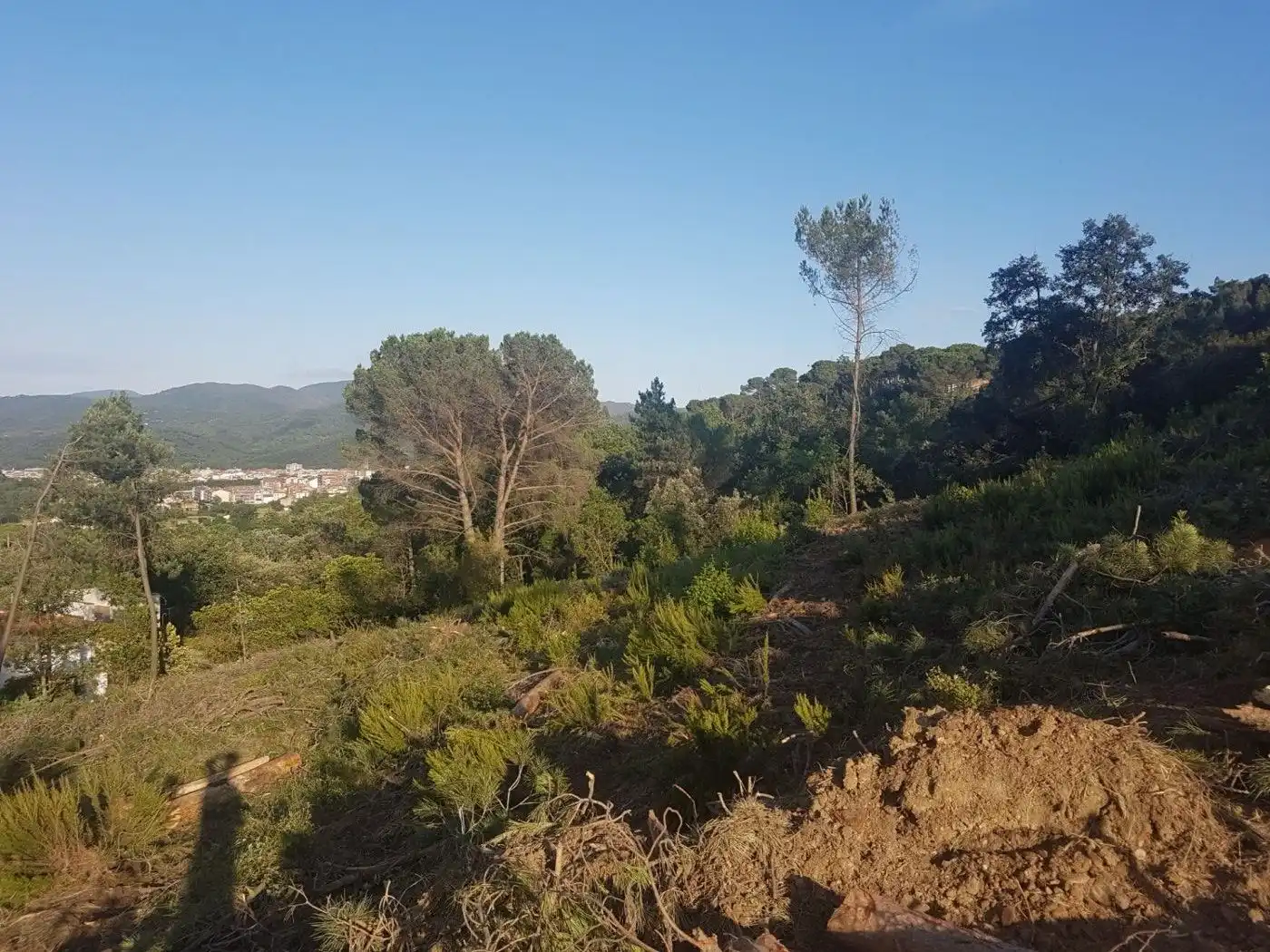 Terreno residenziale in vendita a Sant Celoni, imagen 10