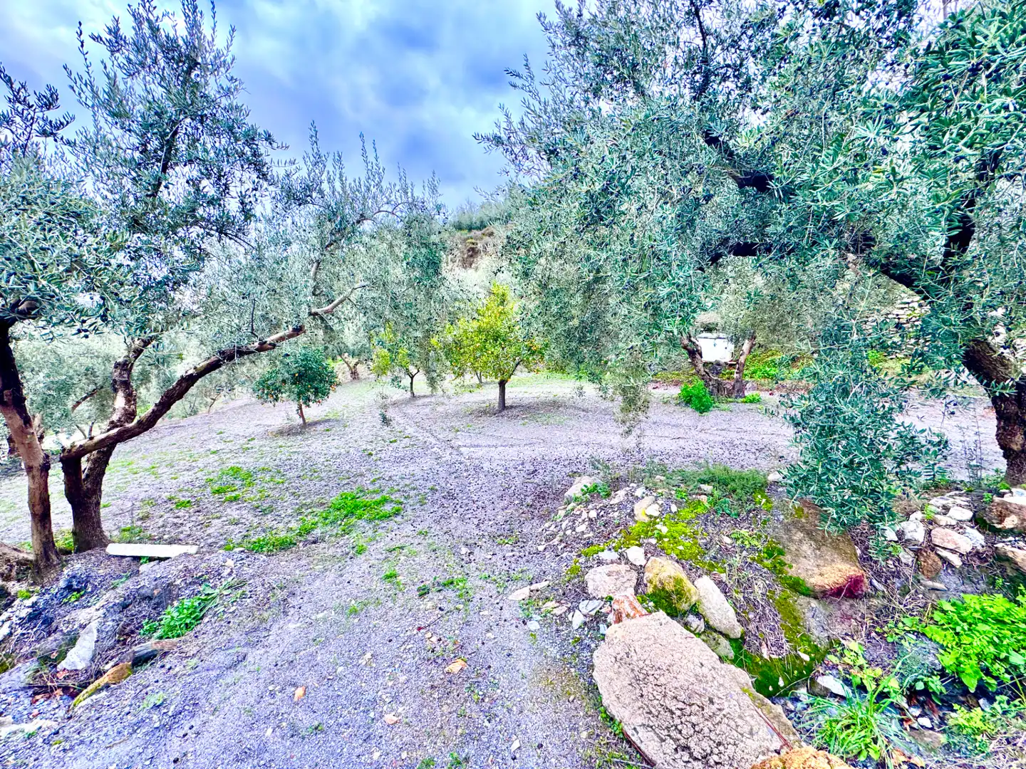 Terreni e lotti in vendita a Lugar Cortijo El Peñon, imagen 30