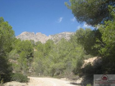 Terrenos y solares en venta en Ptda. del Anton
