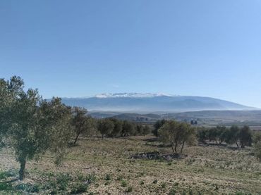 Terreno rustico in vendita a La Malahá