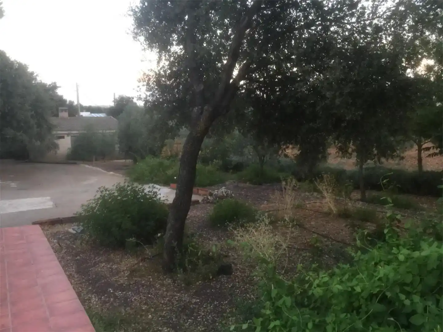 Piso en venta en Pozuelo de Calatrava, Ciudad Real